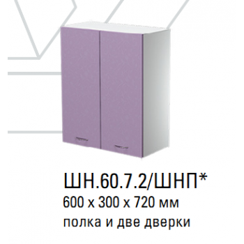 ШН.60.7.2 Шкаф навесной 600 2 двери